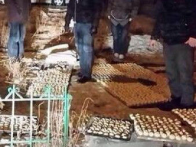 Агаарын бохирдолтой орчинд хөлдөөсөн бууз хүний эрүүл мэндэд халтай