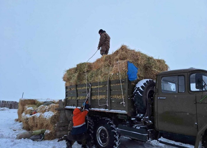 Өвөлжилтийн бэлтгэл хангах ажил нийт 81 хувьтай үргэлжилж байна