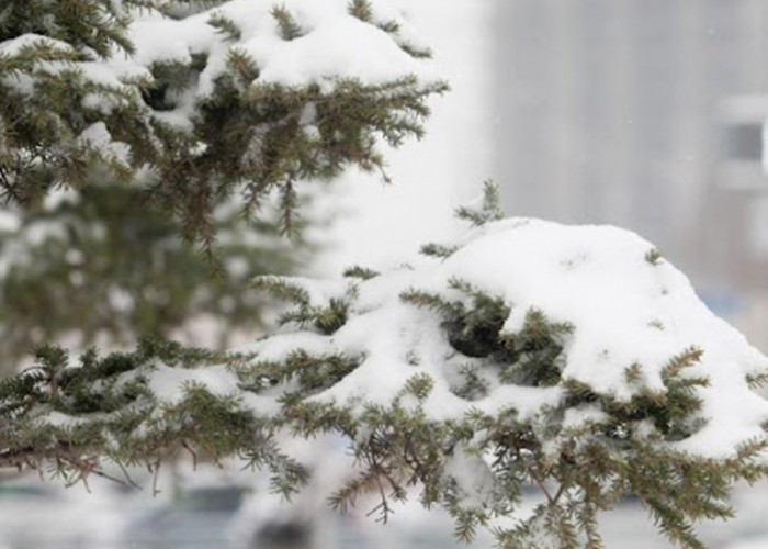 Төв, Дундговь аймгийн нутгаар бороо, уулаараа нойтон цас орж, сэрүүхэн байна