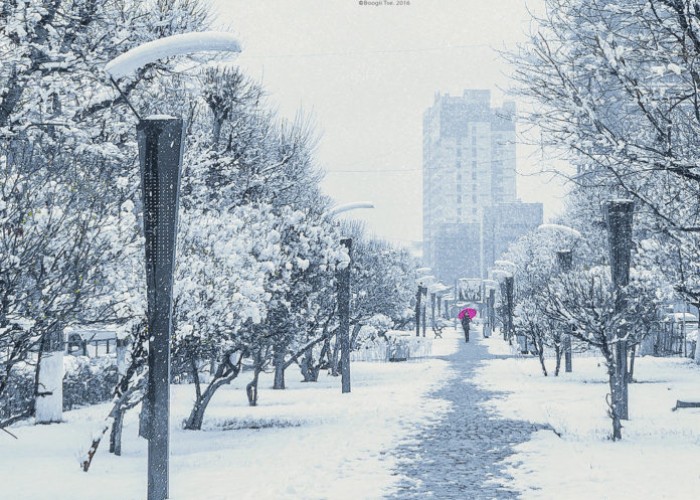 Ирэх саруудад олон жилийн дунджаас хүйтэрнэ