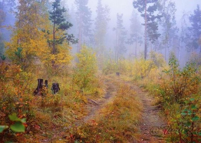 Самар түүхээр яваад сураггүй болсон иргэний цогцосыг оллоо