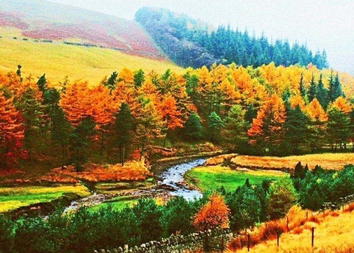 Самарт яваад алга болсон 46 настай эмэгтэйг олоогүй тул эрлийг зогсоов