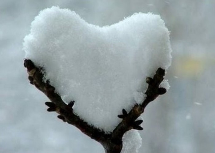 Цас орж буй аймаг, сумдын мэдээлэл