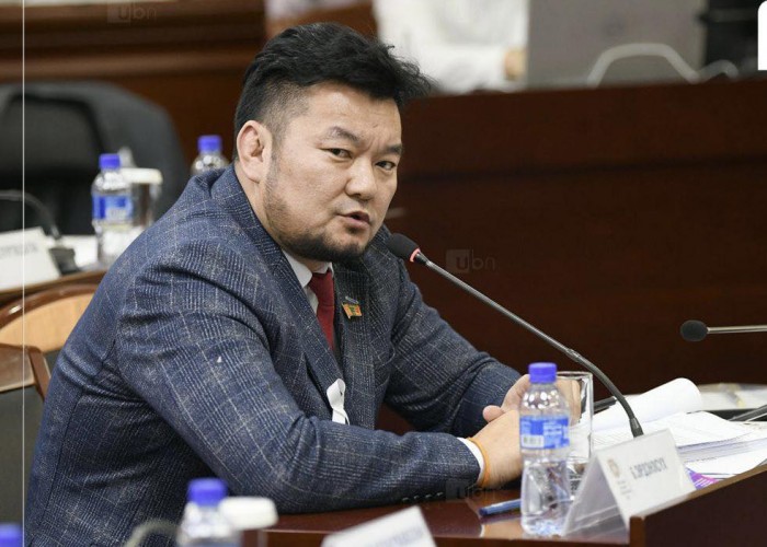 Гэр бүлийн хүчирхийлэл үйлдсэн НИТХ-ын төлөөлөгч Б.Эрдэнэсүхийг баривчилсан байна