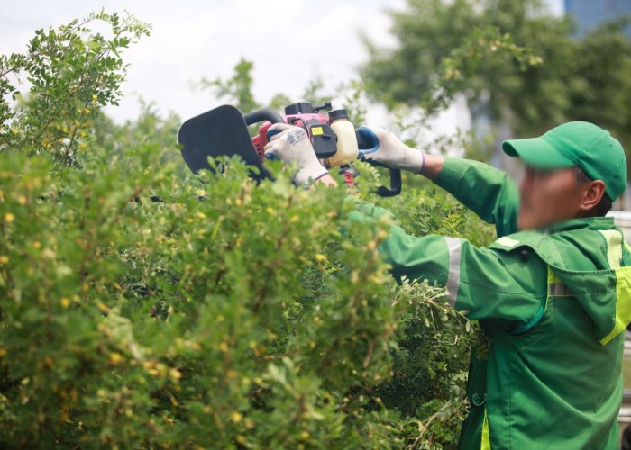 Ус, дулаан, ногоон байгууламж хариуцсан ажилчдын цалинг 3-3.5 сая төгрөг болгожээ