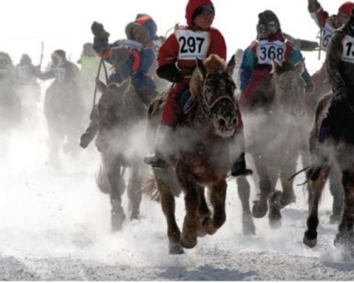 Өвөл, хаврын цагт хүүхдээр хурдан морь унуулахгүй байхыг уриаллаа