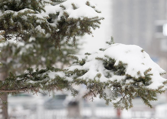 Өвөрхангай, Архангай, Булган, Төв аймгийн нутгаар ахиухан цас орно