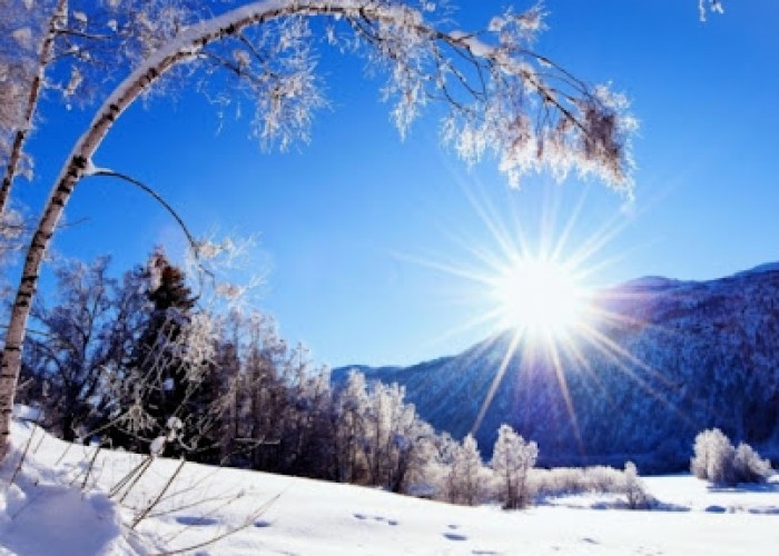 Ихэнх нутгаар цаг агаар тогтуун байна