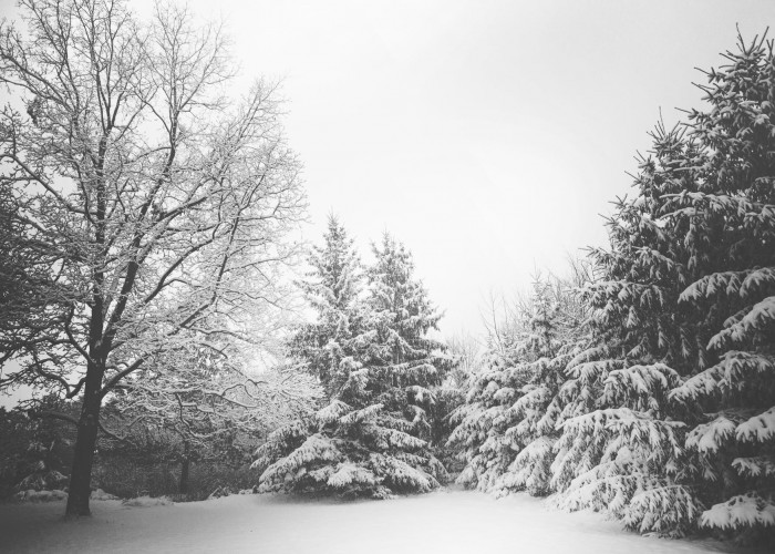 Увс нуурын хотгор, Хөвсгөлийн уулсаар ялимгүй цас орно