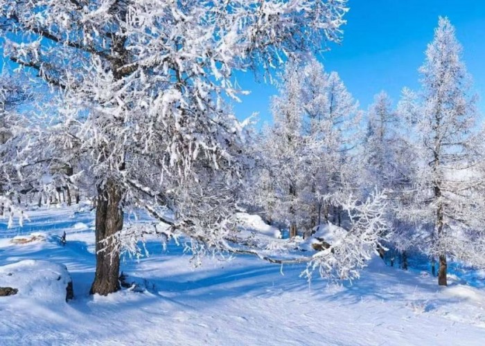 Монгол-Алтай, Хангай, Хөвсгөлийн уулархаг нутаг, Увс нуурын хотгороор цас орно