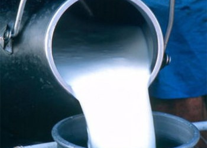 Ирэх онд нийслэлийн 1-5 дугаар ангийн 189 мянган хүүхдийг сүү хөтөлбөрт хамруулна