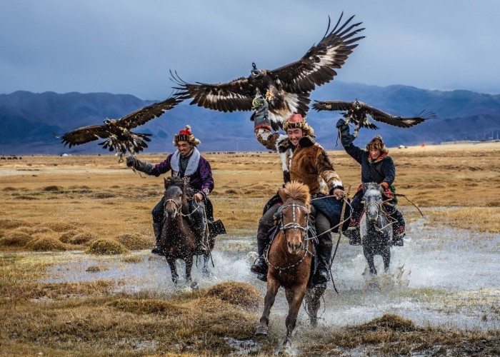 "Бүргэдийн баяр-2026" 3 сарын 7-8-ны өдрүүдэд болно