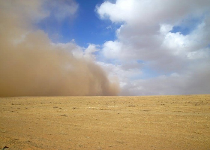 Өнөөдөр говь, тал, хээрийн нутгаар салхи шуургатай байна