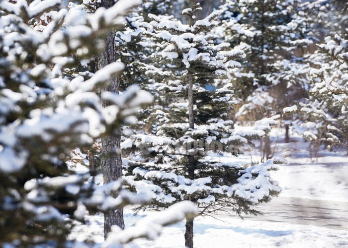 Увс нуурын хотгор, Тэс голын хөндий, Хөвсгөлийн уулархаг нутгаар хур тунадас орно