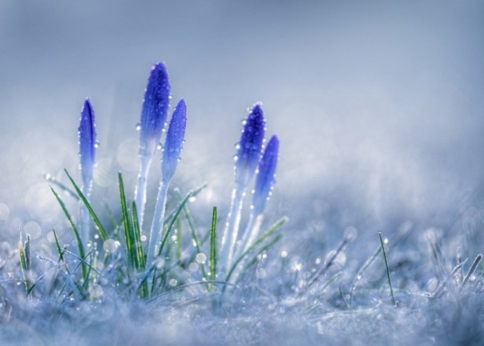 Нойтон цас, цас орж, говь, тал, хээрийн нутгаар салхи, шуургатай байхыг анхааруулж байна