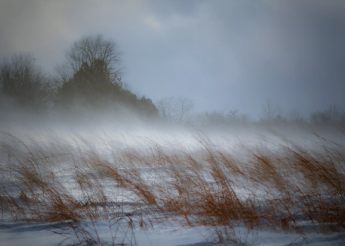 Цас орж, салхи, шуургатай байхыг анхаарууллаа