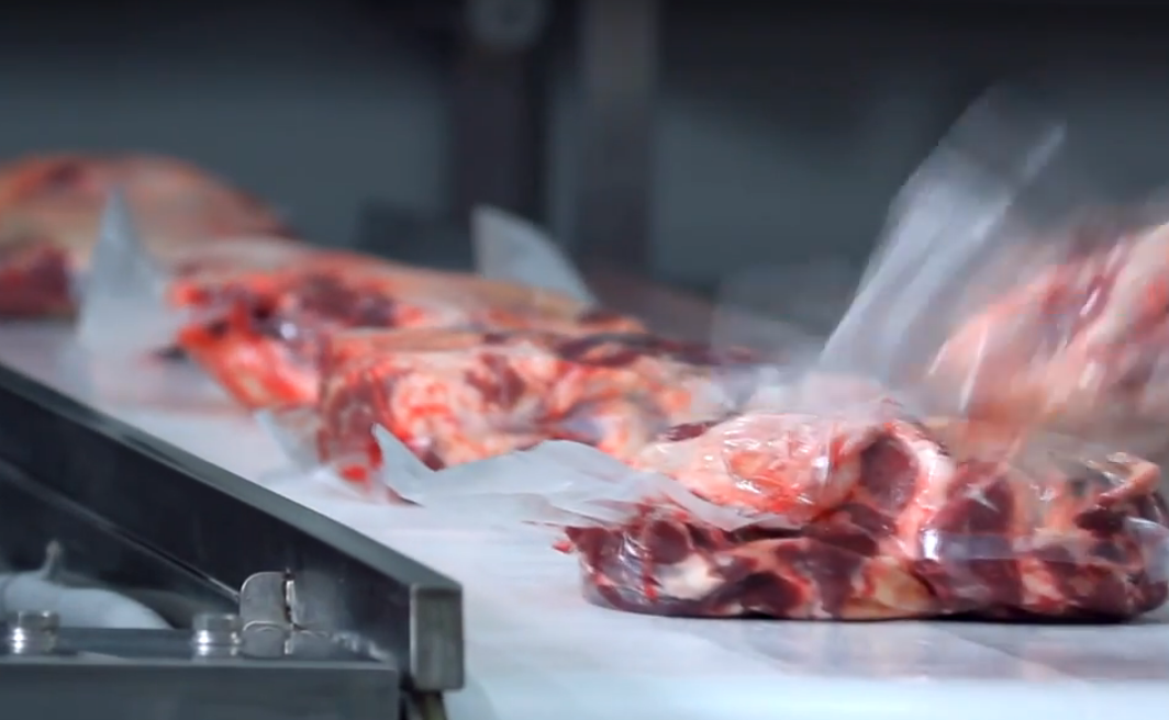 2025 он гарснаас хойш 56 мянган тонн мах экспортолжээ