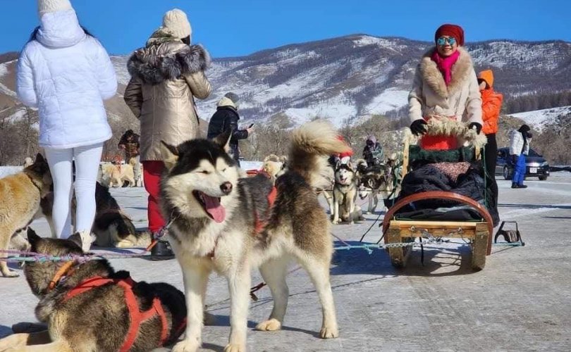 2025 онд манай улсад 850 мянган жуулчин иржээ