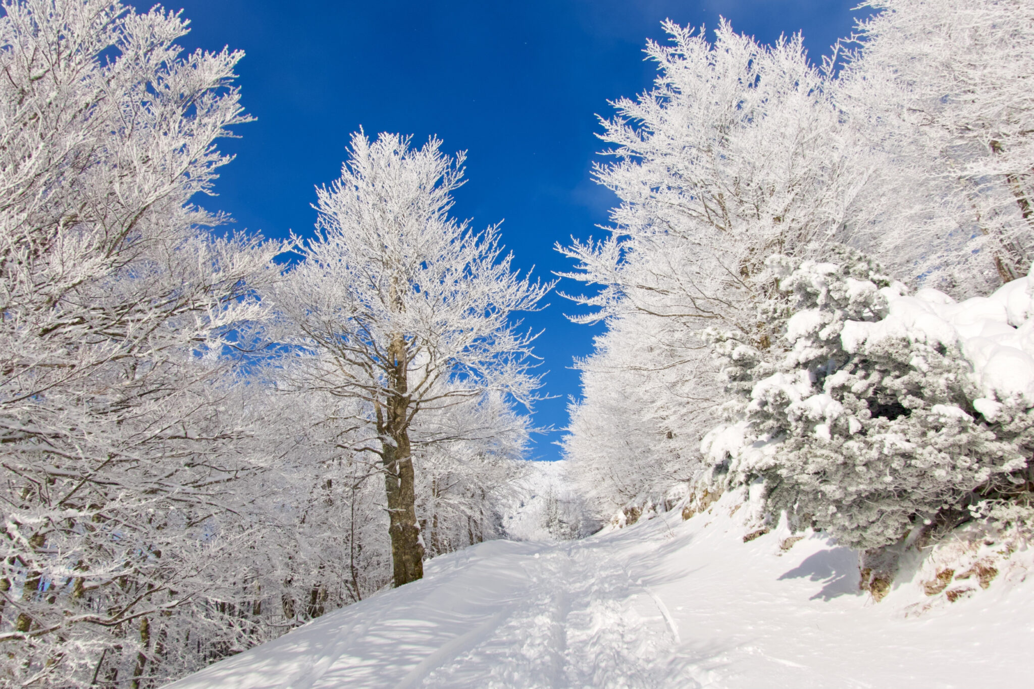 Өнөөдөр нийт нутгаар цас орохгүй, цаг агаар тогтуун байна