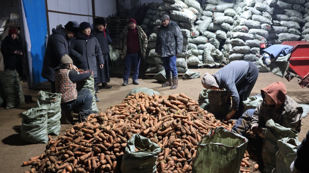 1200 тоннын багтаамжтай хүнсний ногооны зоорь барьж, ашиглалтад оруулав