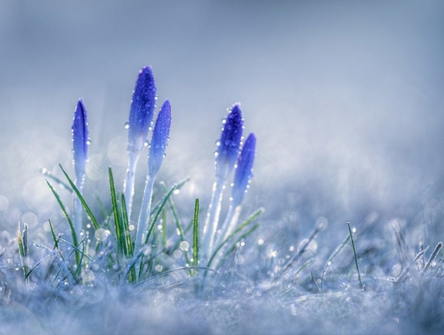 Нойтон цас, цас орж, говь, тал, хээрийн нутгаар салхи, шуургатай байхыг анхааруулж байна