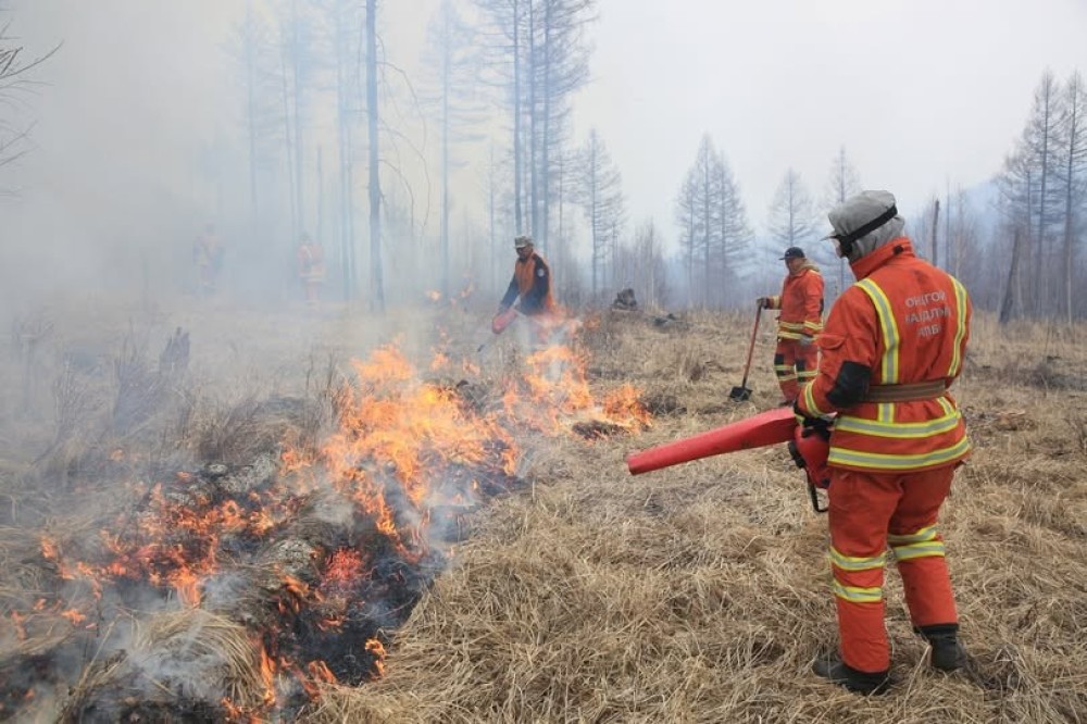 Өнгөрсөн долоо хоногт ой, хээрийн 11 удаагийн түймрийн дуудлага бүртгэв