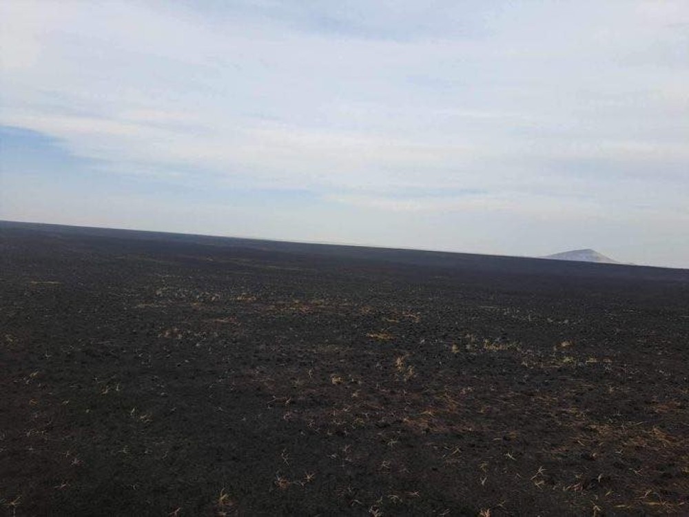 Дорнод, Хэнтий аймагт ассан хээрийн 3 түймрийг бүрэн унтраалаа