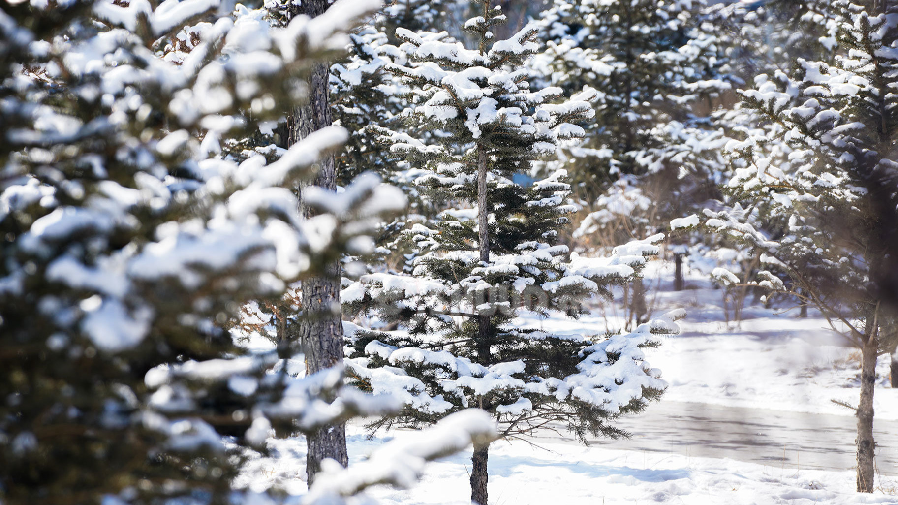 Баян-Өндөр сум: Өнөө шөнө үүлшинэ, цас орно