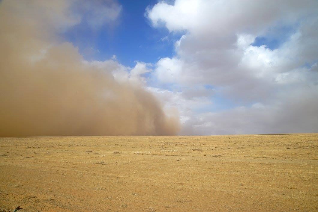Талын нутгаар салхи, шороон шуургатай байхыг анхааруулж байна