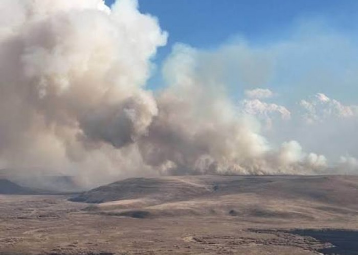 Хил хамгаалах ерөнхий газраас мэдэгдэл гаргалаа