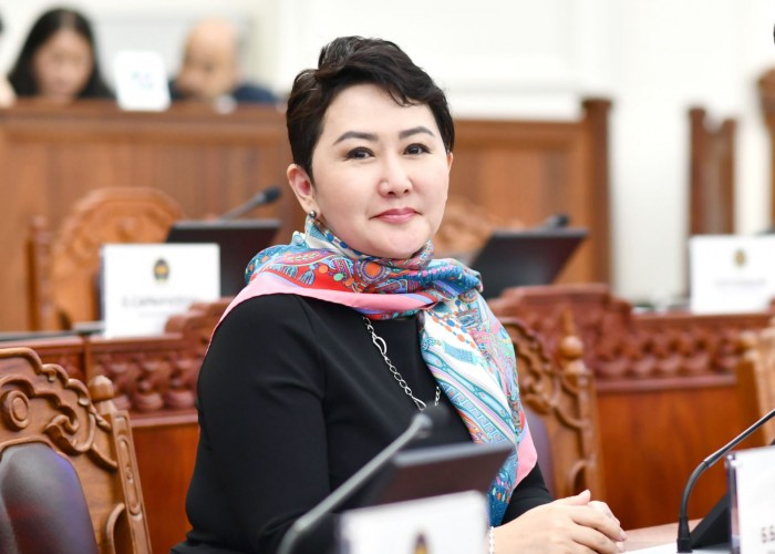 Гадаад харилцааны сайд Б.Батцэцэг өнгөрсөн хугацаанд яг юу хийв?