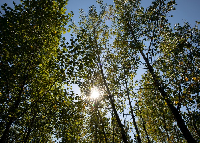 Өнөөдөр хотод +25 градус дулаан байна