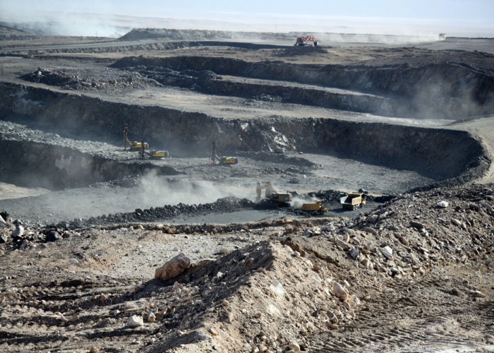 Монголд амьдарч буй 833 вьетнам иргэний дийлэнх нь үйлчилгээ, уул уурхайн салбарт ажиллаж байна