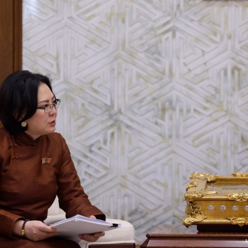 Хэлмэгдэгчдийг цагаатгуулах тухай өргөдөл, гомдол хүлээж авах, сунгах хуулийн төслийг өргөн мэдүүлэв