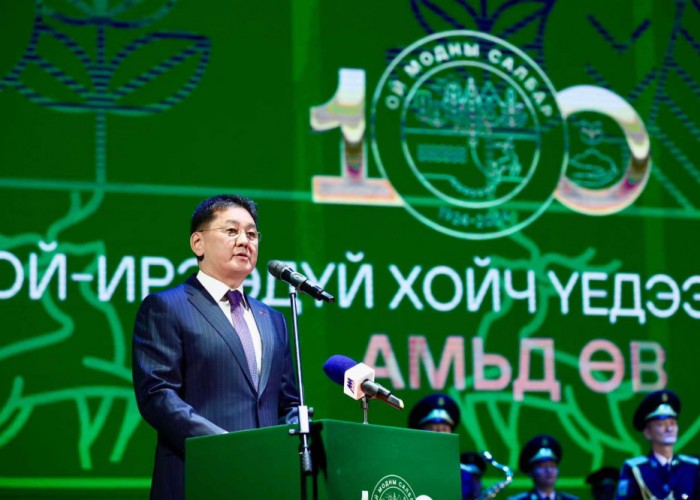 Үндэсний хөдөлгөөн хэрэгжсэнээр 84 сая мод тарьж, мод, сөөгийн үрийн 12 мянган тонн нөөцтэй болжээ