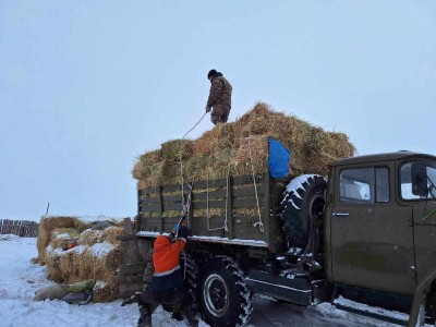 Өвөлжилтийн бэлтгэл хангах ажил нийт 81 хувьтай үргэлжилж байна