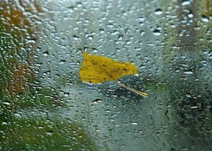 Монгол-Алтай, Хангай, Хөвсгөлийн уулархаг нутгаар бороо орно