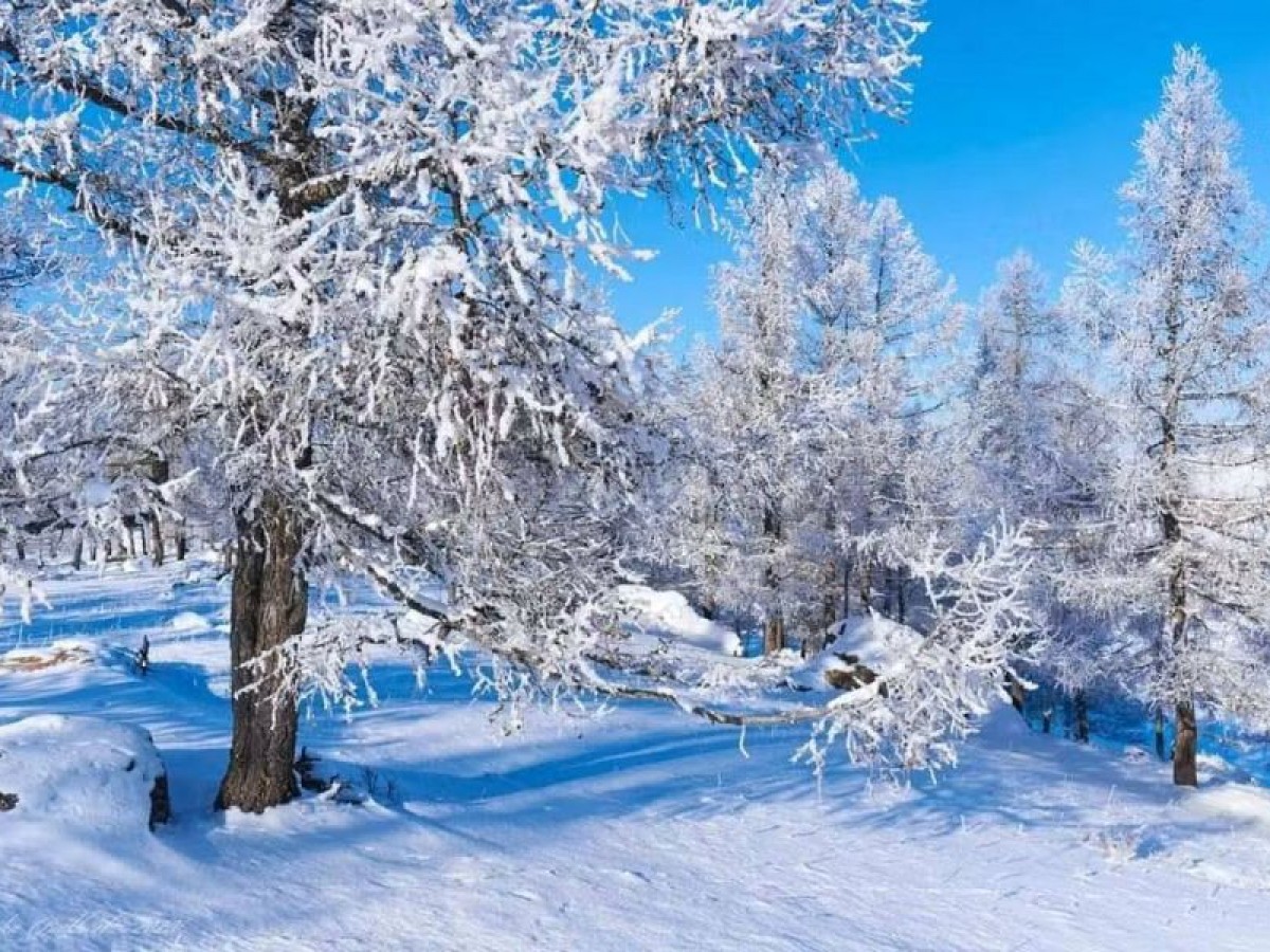 Монгол-Алтай, Хангай, Хөвсгөлийн уулархаг нутаг, Увс нуурын хотгороор цас орно