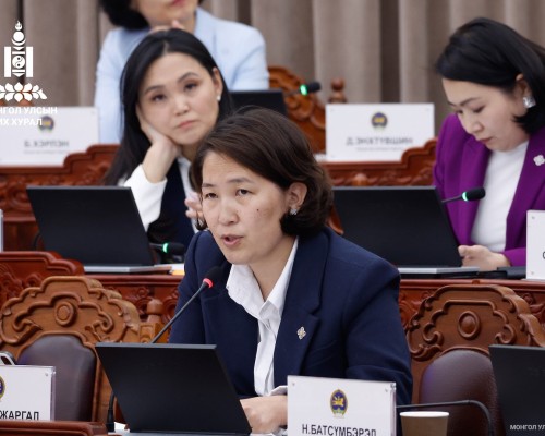 Х.Баасанжаргал: Ардчилсан нам сөрөг хүчнийхээ ажлыг хийж чадах уу гэдгийг л харъя