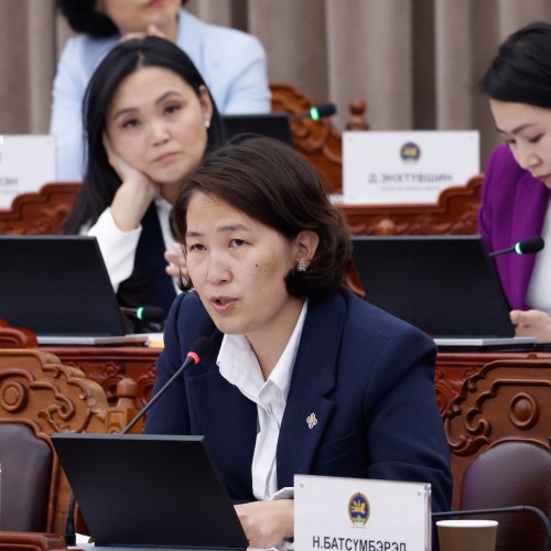 Х.Баасанжаргал: Ардчилсан нам сөрөг хүчнийхээ ажлыг хийж чадах уу гэдгийг л харъя