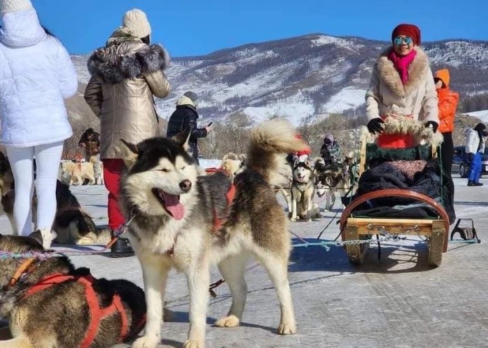 2025 онд манай улсад 850 мянган жуулчин иржээ