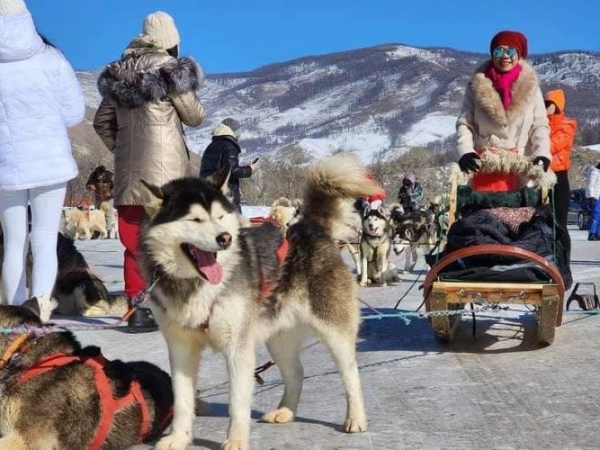 2025 онд манай улсад 850 мянган жуулчин иржээ