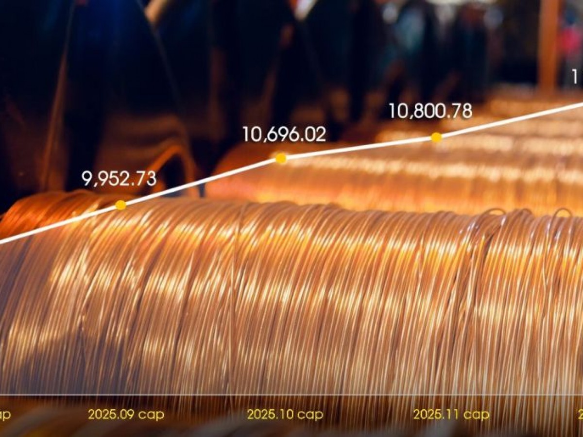 Зэсийн үнэ 2025 онд 31.1 хувиар өсжээ