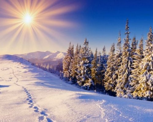 Хоёрдугаар сарын 19-нийг хүртэлх цаг агаарын урьдчилсан төлөв