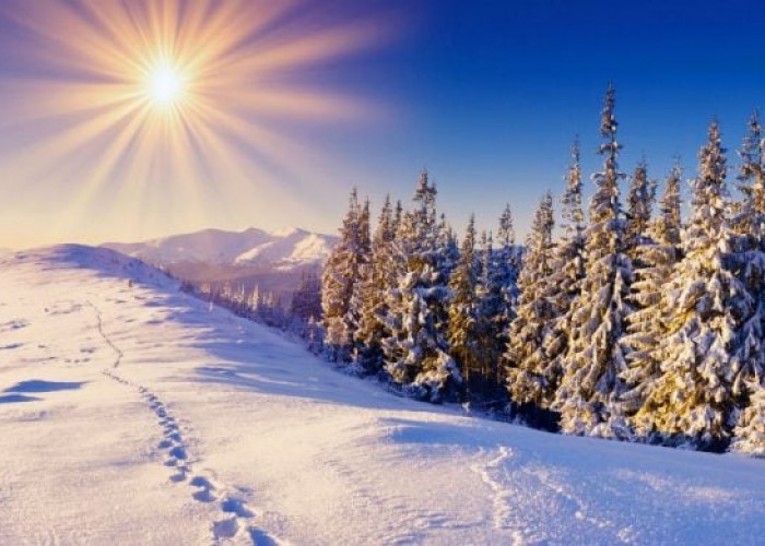 Хоёрдугаар сарын 19-нийг хүртэлх цаг агаарын урьдчилсан төлөв