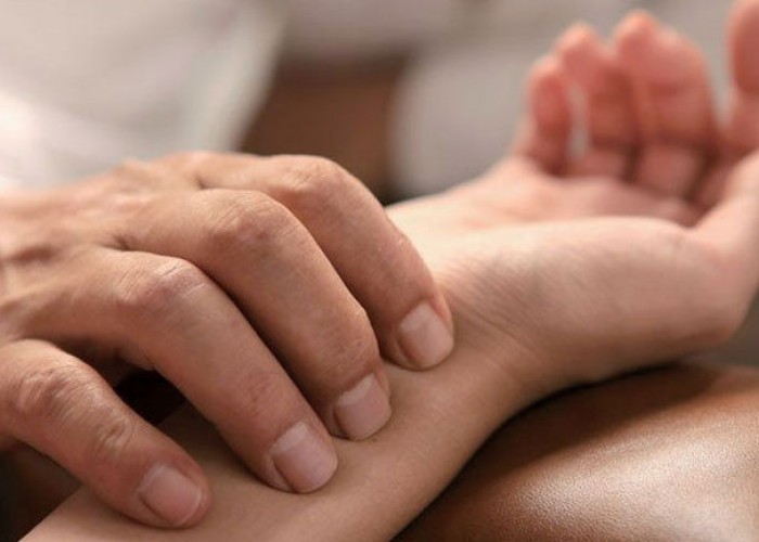 Монголын уламжлалт анагаах ухааныг 2026-2030 онд хөгжүүлэх арга хэмжээний төлөвлөгөө баталлаа