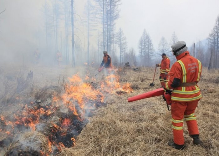 Өнгөрсөн долоо хоногт ой, хээрийн 11 удаагийн түймрийн дуудлага бүртгэв