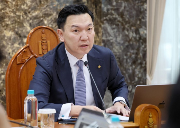 Н.Учрал: Энэ онд төлөвлөсөн 9376 хяналт шалгалтыг цуцаллаа