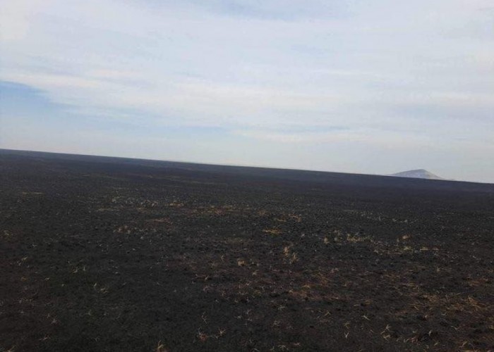 Дорнод, Хэнтий аймагт ассан хээрийн 3 түймрийг бүрэн унтраалаа