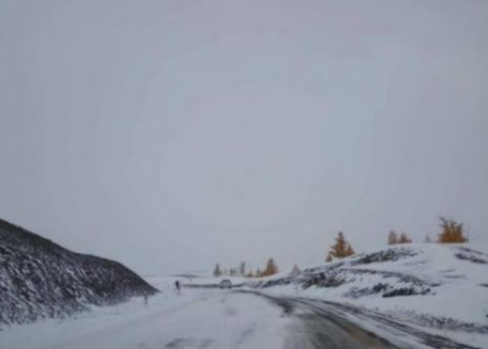 Говь, талын нутгаар салхи шуургатай байна